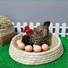 Перо люка несушек животных Рисунок обучения моделирование модель домашний сад украшения ремесла подарки магазин/образование дисплей