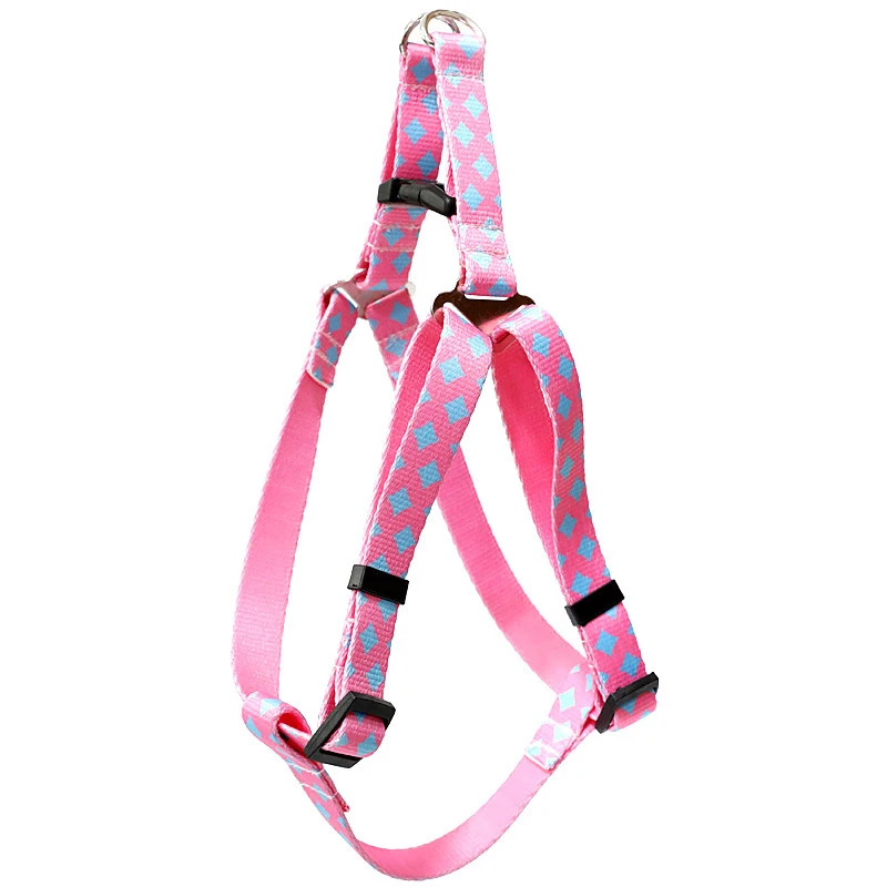 harness dog (3)