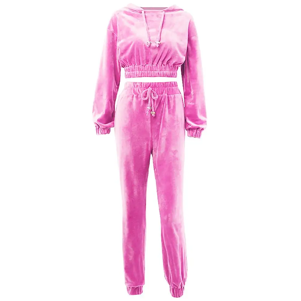 2 шт., женская теплая толстовка с длинным рукавом на шнурке, укороченная толстовка с капюшоном, топы и штаны, Модный Зимний спортивный костюм для женщин - Цвет: Розовый