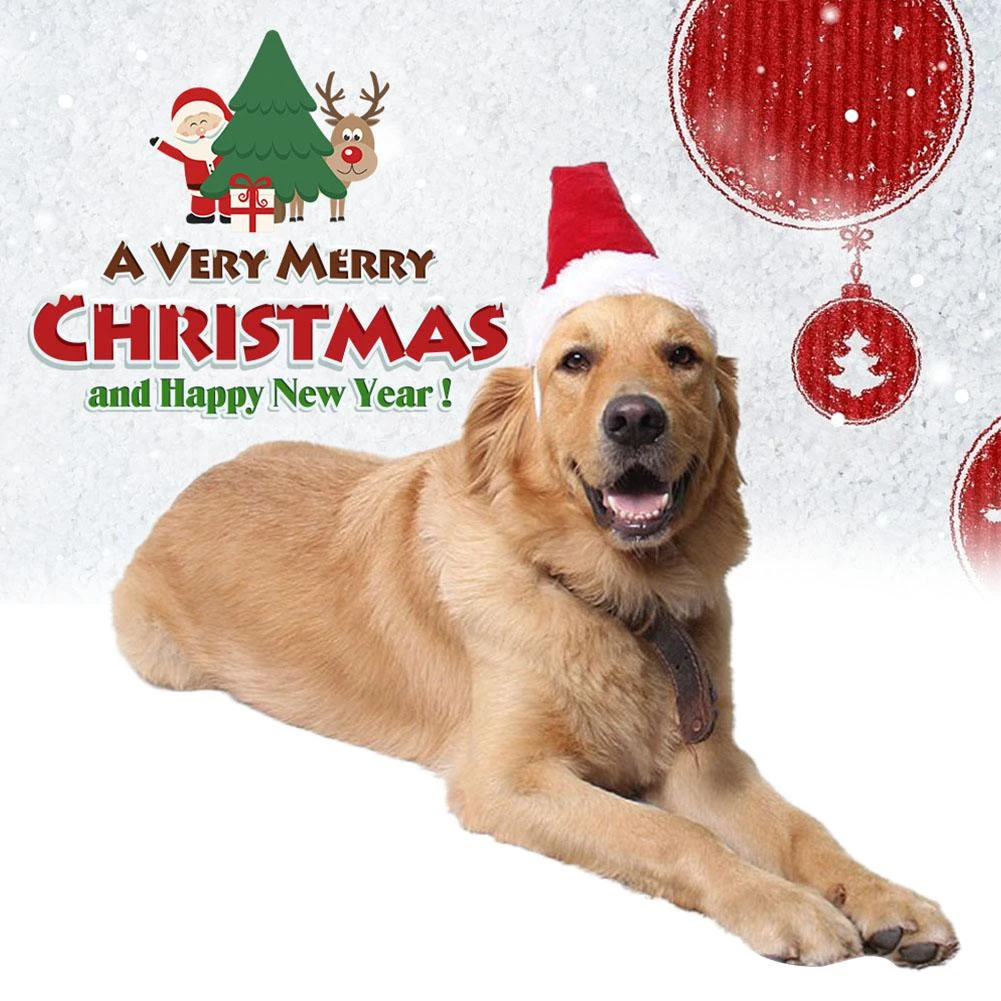 犬猫キャップペットサンタ帽子誕生日スカーフと襟蝶ネクタイクリスマス衣装子犬子猫小猫犬ペットアクセサリー Aliexpress Home Garden