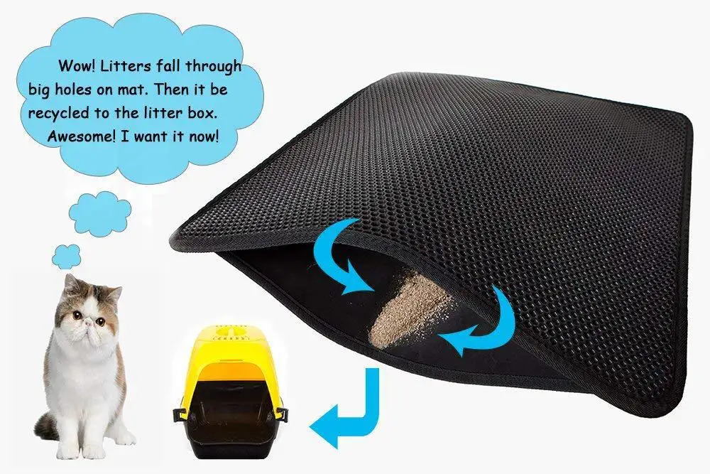 10288432950_1442836539