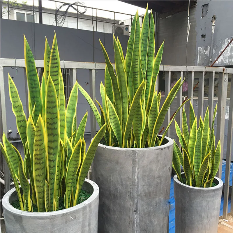 Искусственное суккулентное растение Agave пустынные растения Sansevieria Trifasciata Prain домашний офис Декор Искусственный Бонсай тропические листья