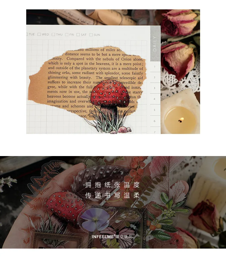 Hff441044c25546be8fa88adb82fa9892u