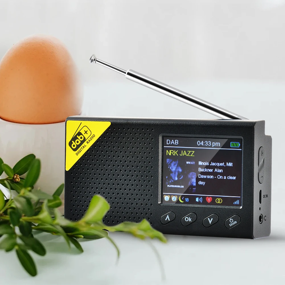 Портативное цифровое радио 5 0 DAB/DAB + и FM-приемник перезаряжаемое 2 4 дюймовый