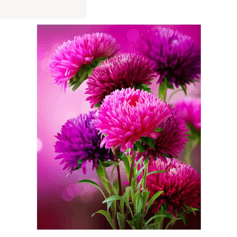 

Flower Digital Oil Paintings Wall Art Picture Painting By Numbers Hand Painted Drawing Canvas Coloring By Number Home Decor Gift