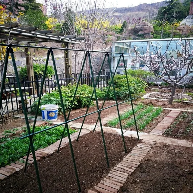 5 db Növényi Tartó Napellenző Oszlop A-Típusú Rögzített Klip Oltó Tét Csatlakozó Mászó Szőlő Konzol Kerti Kiegészítők - Image 2