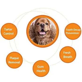 

Dog Healthy Edible Toothpaste Small Dog Cats Mouth Taste And Vanilla Accessories Supplies And Beef 2 And Cleaning Care Pet C0G6