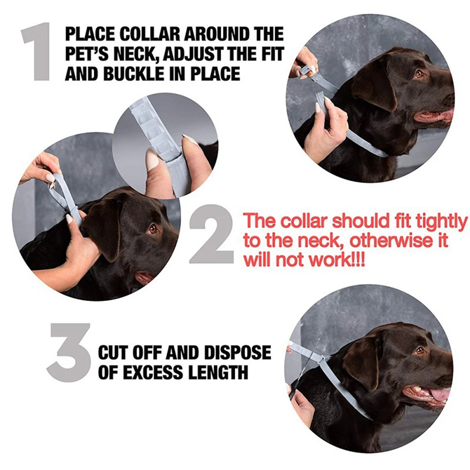 Small Forest New Pet Dog Cat Collar Anti Flea Ticks Mosquitoes Adjustable Pet Collar 8 Months Long-term Protection Small Forest New Pet Dog Cat Collar Anti Flea Ticks Mosquitoes Adjustable Pet Collar 8 Months Long-term Protection