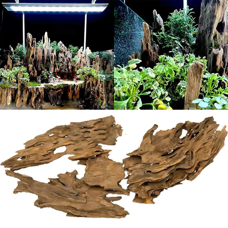 ⭐🏅bois flotté aquarium 🐟 monchienchat