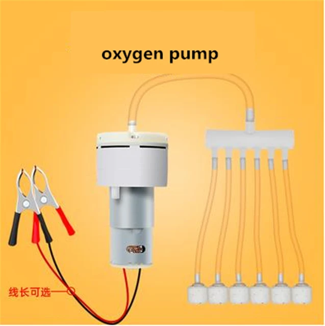 advocaat Moederland Suradam Dc Air Pomp 12v Oxygen Pump Clip Adjust Pwm Volume Electric Motor 12 V Volt  Aquarium Pomps Outdoor Fishing Car Aerator Farmed - Pumps - AliExpress