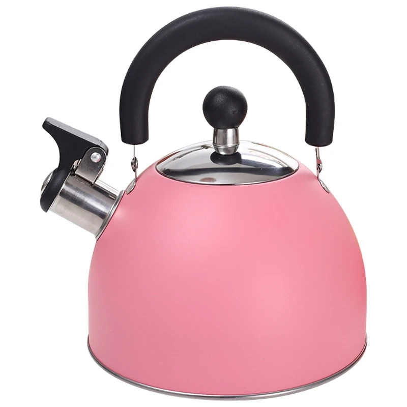 Stainless Steel Whistle Kettle 2.5L Coffee Milk Tea Heating |
