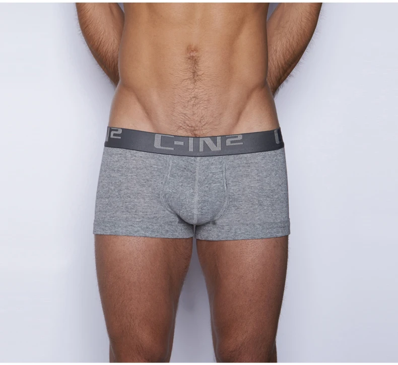 Cin2 gray New Mens Underwear Solid Classic Men Underpants Cotton Short trunk Spandex Man Pants Comfort Elastic Man Boxers Hot - Цвет: Cin2 gray