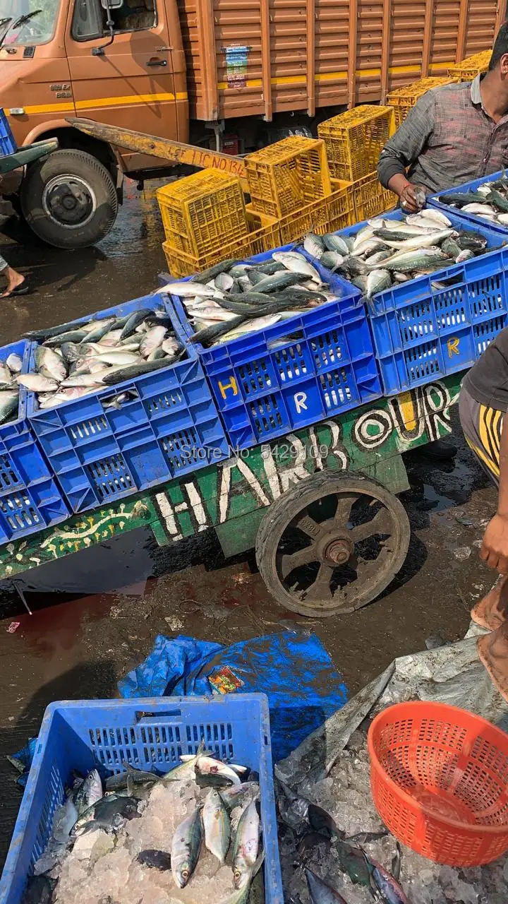 isca de pesca, lâmpada atraente de peixe para anzóis lula krill