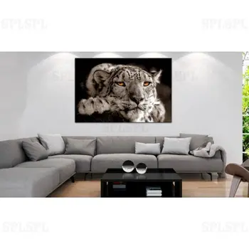 

Canvas Magic Eyes (1 Part) Wide Animals Cats Photo Print On Canvas for Living Room Home Decor