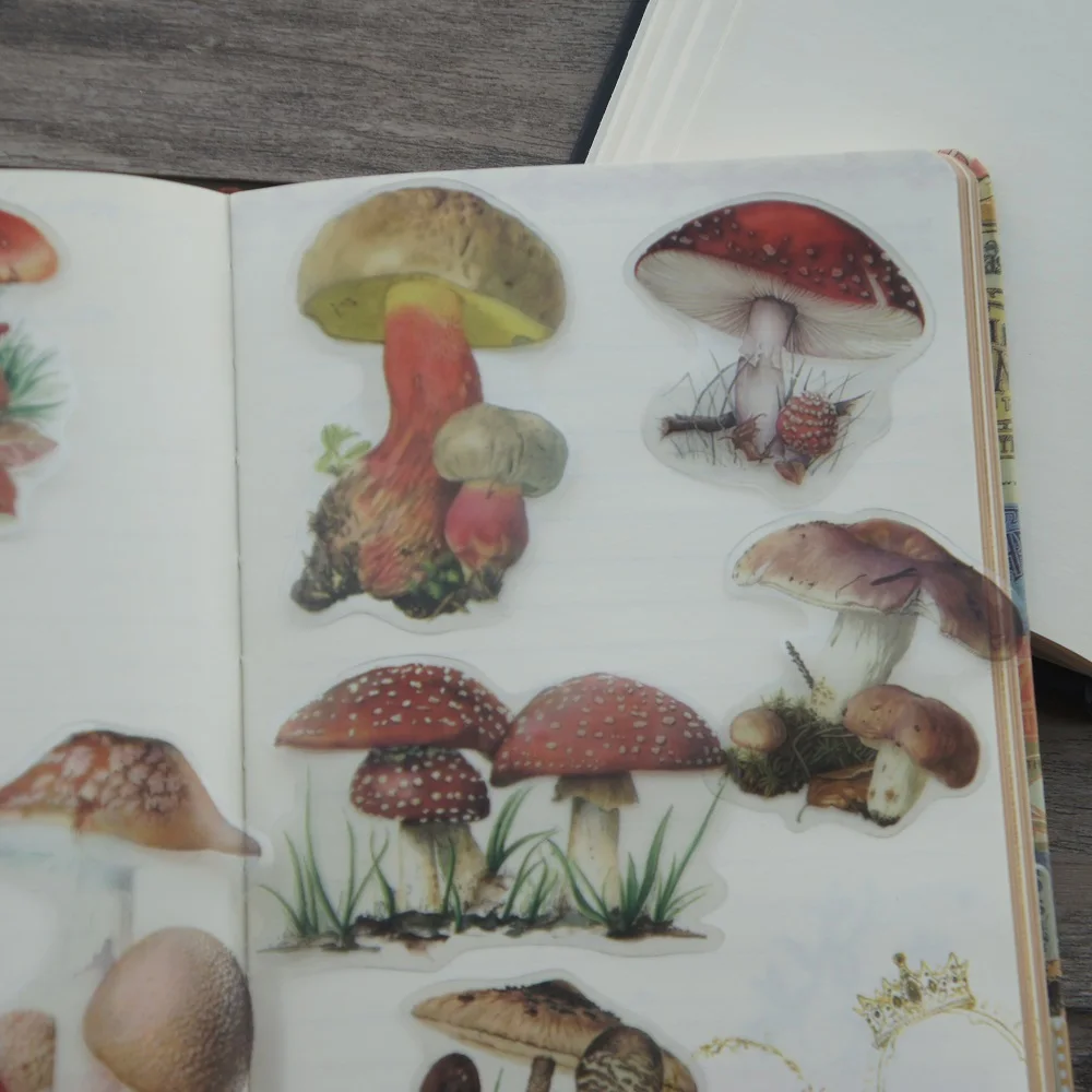 Decorative Stickers Decorative Labels Stickers DIY Scrapbooking Accessories 38pcs Colorful Natural Wild Mushroom Style Transparent Sticker Scrapbooking DIY Gift Packing Label Gift Decoration Tag