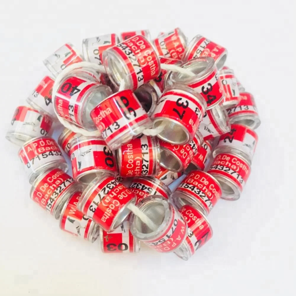 4702942edb5be9844bb4cab08ada244