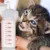 Котенок Бутылка Котята Собака Вода Подняла Бутылочку Для Кормления Чаши для Шприца Бутылка Собака и Кошки Портативная Бутылка Воды Pet Supply