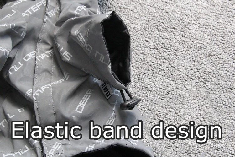 微信图片_20190818150739_副本