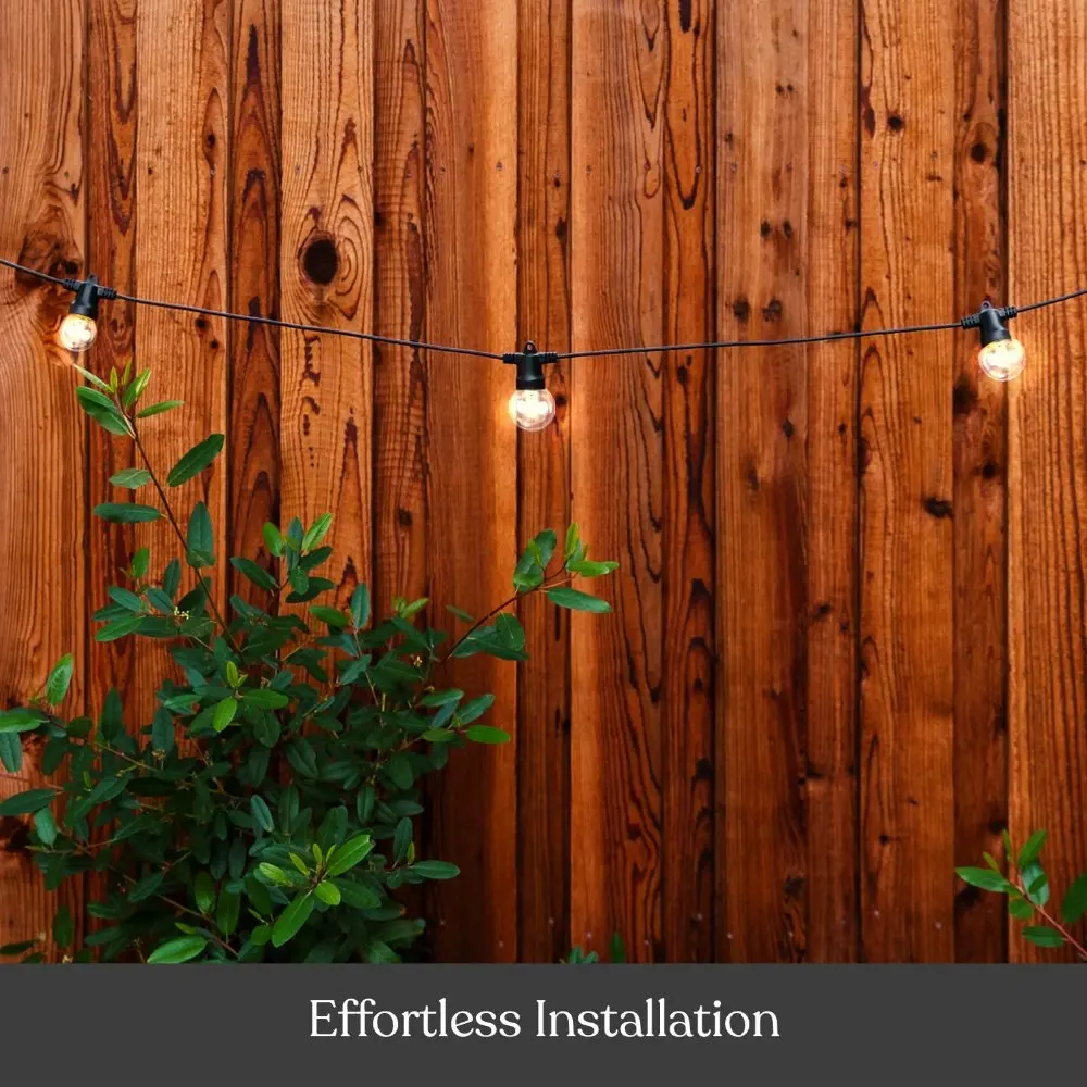solar bulb string (20)
