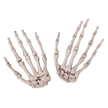 

Human Anatomical bone Skeleton Model Medical Medical Learn Aid Anatomy art sketch 1 pcs Skull Skeleton Hand Bone Halloween
