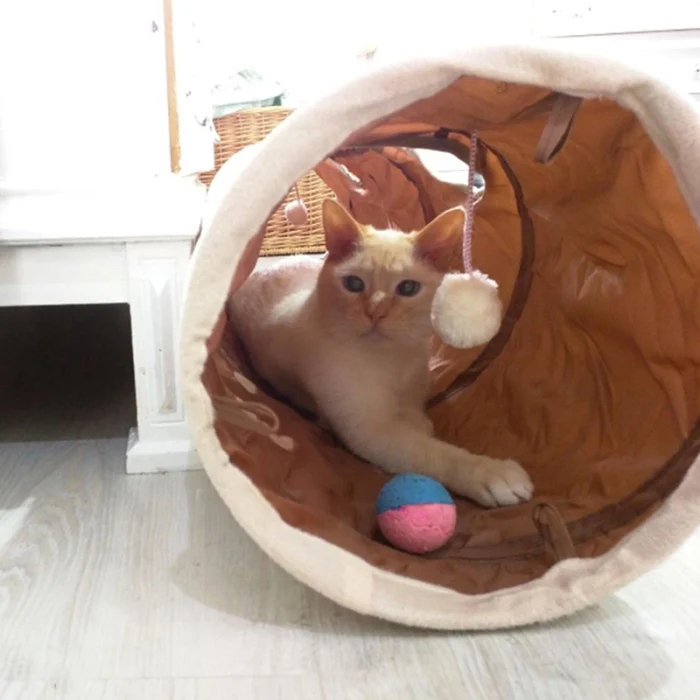 Pet туннель для кошек игрушки Кролик трубка складной 2 способ щенка Котенок Играть игрушки FPing