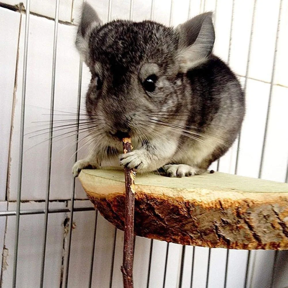 Ha7afe01158d845f5810fa9f494f27b21z