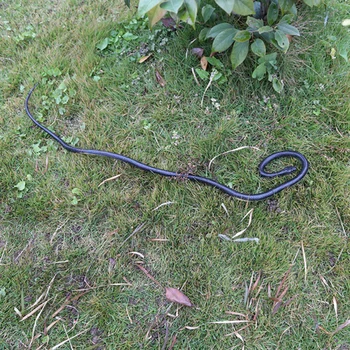

1PC Simulation Snake Lifelike Kids Snake Toy Simulation Snake Toy Trick Props for Costume Party