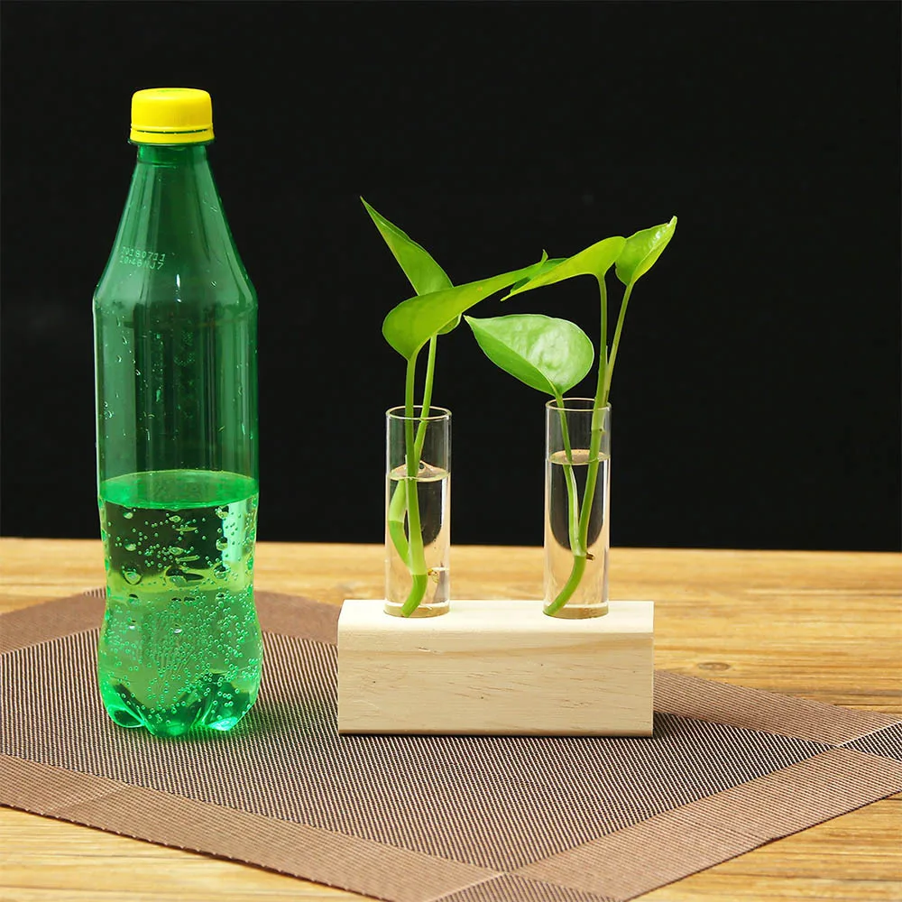 Creative Hydroponic Plant Transparent Test Tube Wooden Frame Vase Decoration Desktop Plant Bonsai Decorative Vase Frame