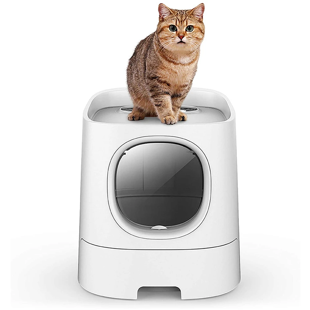 Akilli Kedi Kum Kabi Tepsi Tuvalet Yari Kapali Otomatik Koku Giderme Sicrama Gecirmez Hayvan Tuvaleti Kutusu Cep Telefonu Kontrol Monitoru Cat Litter Boxes Aliexpress