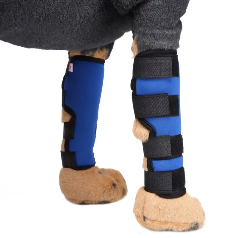 1 пара поддерживающая собачья защита для ног игрушечная собака задняя нога собака сустав ноги хирургическая травма рана протектор Pet наколенник набор инструментов