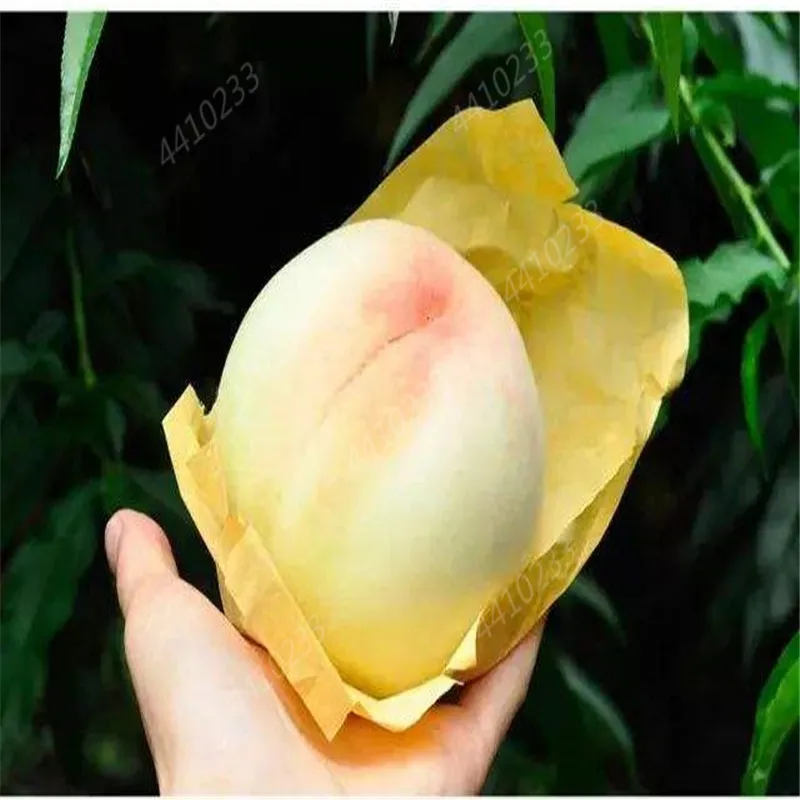 1 шт. пакет искусственный персик| |