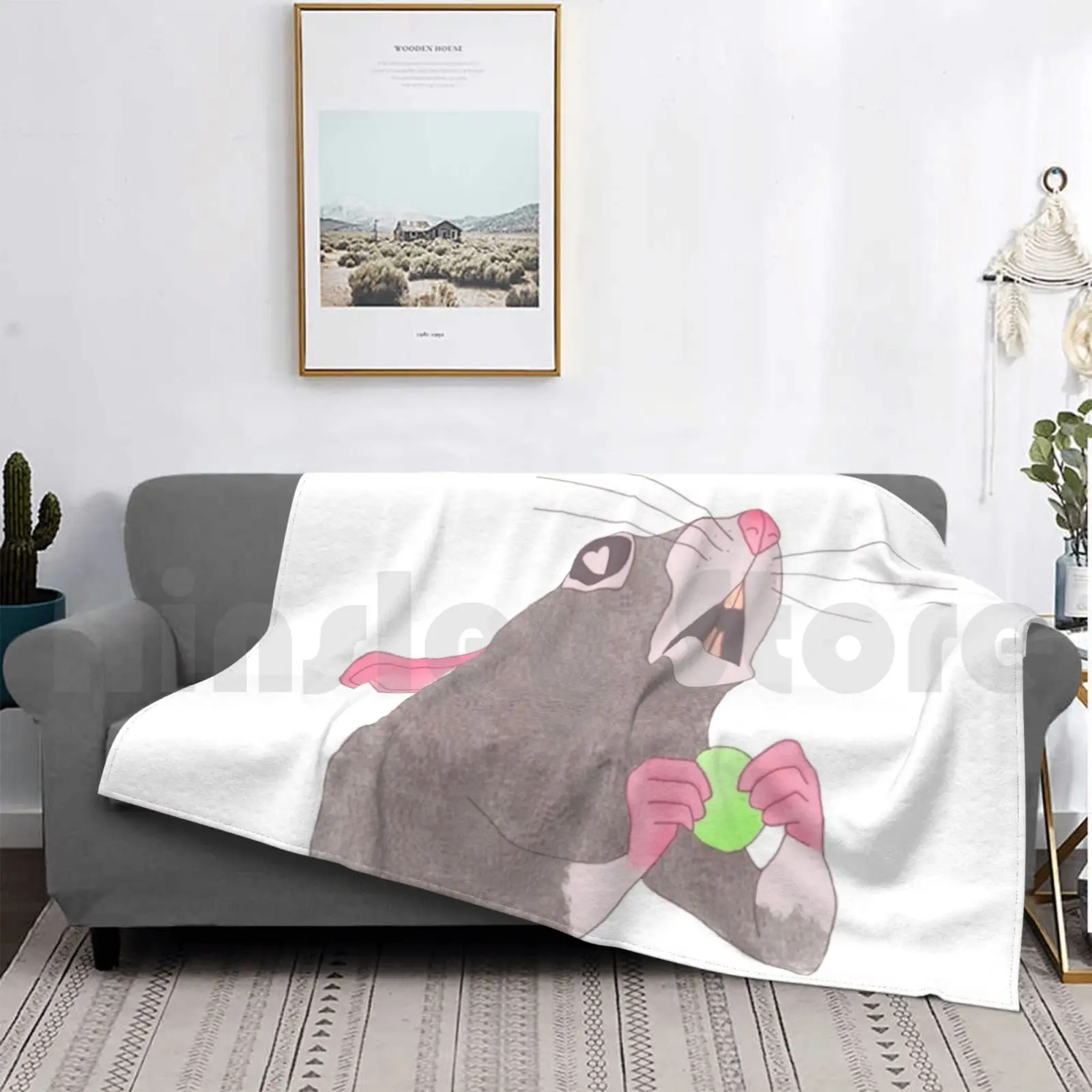 �ϵ��� �� ��� ��� ���� ħ�� ���� �� �� Ratties ���� �Ϳ��� �ϵ��� �ֿ� ����