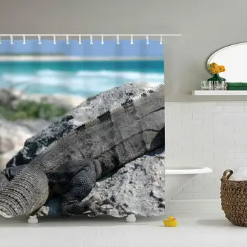 

Black Spiny Tailed Iguana Shower Curtains Bath Curtains 72 x 72