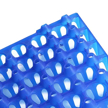 

Storage Tray Hold 30 Eggs Incubator Turkey Duck Peafowl Breeders Supply Eggs Tray