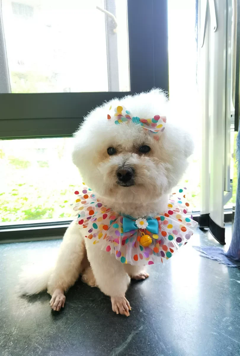 O1CN01mzDWSp22fpfaCpmsk_!!23137148