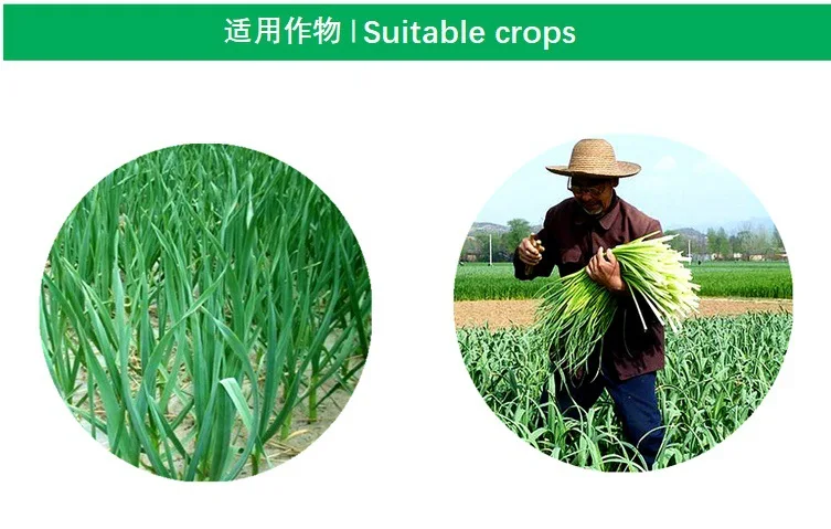 Description Picture 4 of itemGarlic Stalk Vegetables Promote Elongation Coarsening Swelling Trace Element Foliar Fertilizer Garden Plant Growth Crop Farm