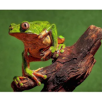 

Full Square Drill 5D DIY Diamond Painting Clown Frog 3D Embroidery Cross Stitch Mosaic Rhinestone Home Decor Hobbies and Crafts