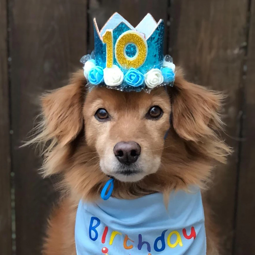 Title 10, Fashion Pet Birthday Hats Cute Sequin Crown Dog...