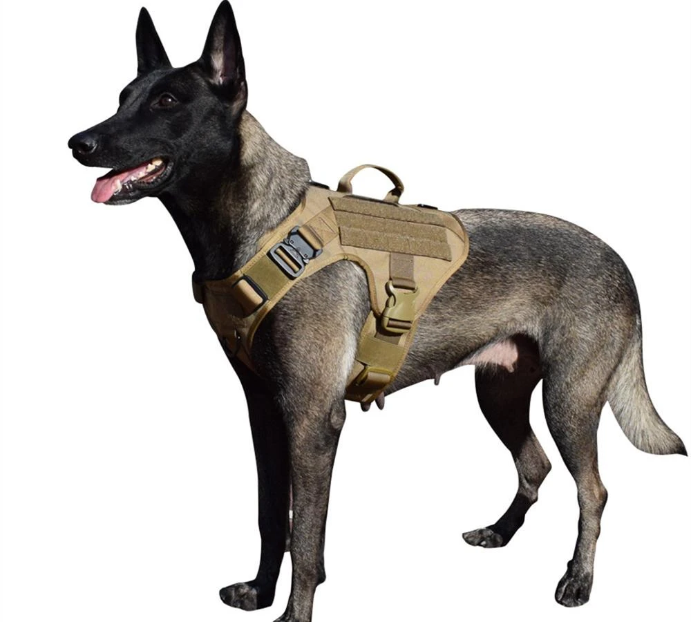 berger allemand Harnais anti-fuite pour chiens de taille moyenne pitbull Ducomi Harnais militaire tactique grand Rottweiler laisse pour chien K9 entra/înement et travail