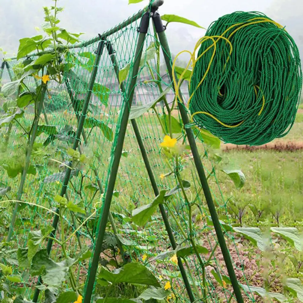 1.8x1.8m Garden Green Nylon Trellis Netting Support Climbing Plant Nets Fenc GZ 
