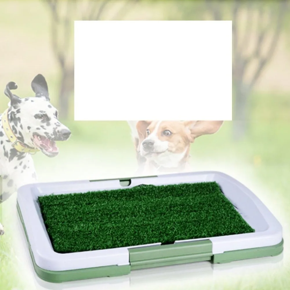 SG896800-C-20081308-1