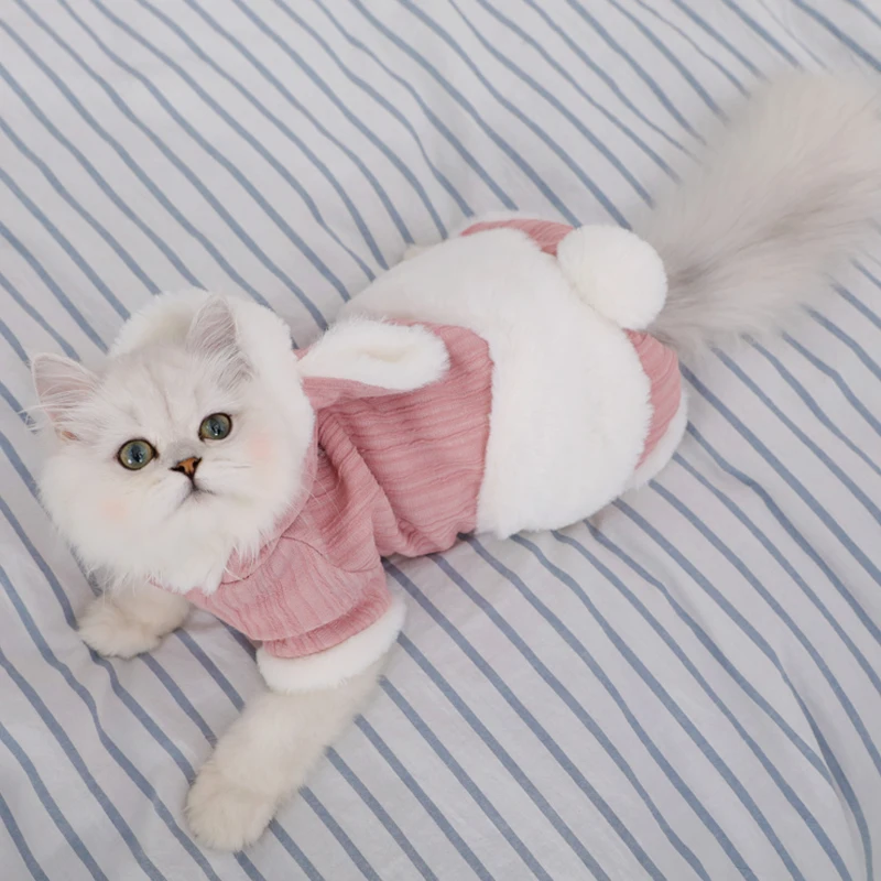 Hoopet Одежда для кошек, зимние куртки для кошек, куртки, костюмы для щенков, одежда для собак, худи для собак, кошек, котят, наряды