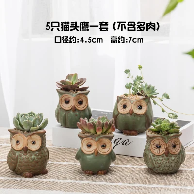 5 pcs Owls 5 шт. мини керамические цветочные горшки в форме Совы Костюмы Ретро Милая мультяшная овечка животное горшок для суккулента для Домашнего Цветоводства офисный Настольный Декор - Цвет: 5 pcs Owls