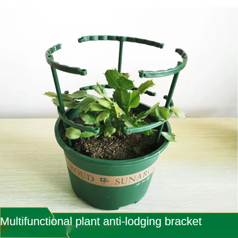 Lot De 4 Supports De Tige De Plante Grimpante En Plastique