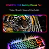Computer Peripherals