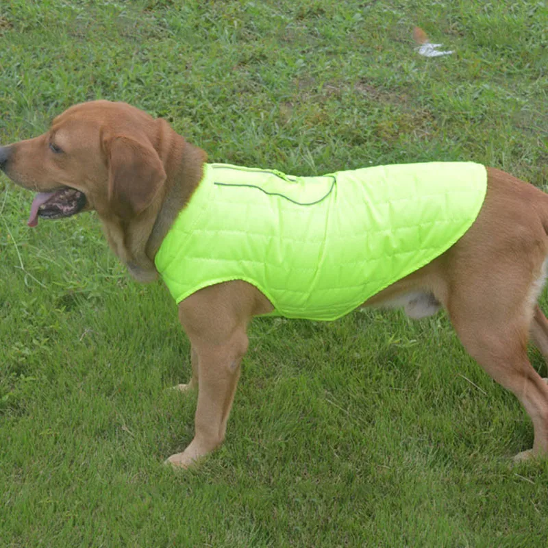 Fluorescent green Теплая куртка для домашних животных, жилет для собак, Двусторонняя одежда для ношения, ветрозащитное теплое пальто для собак, куртка для французского бульдога XS~ XL - Цвет: Fluorescent green