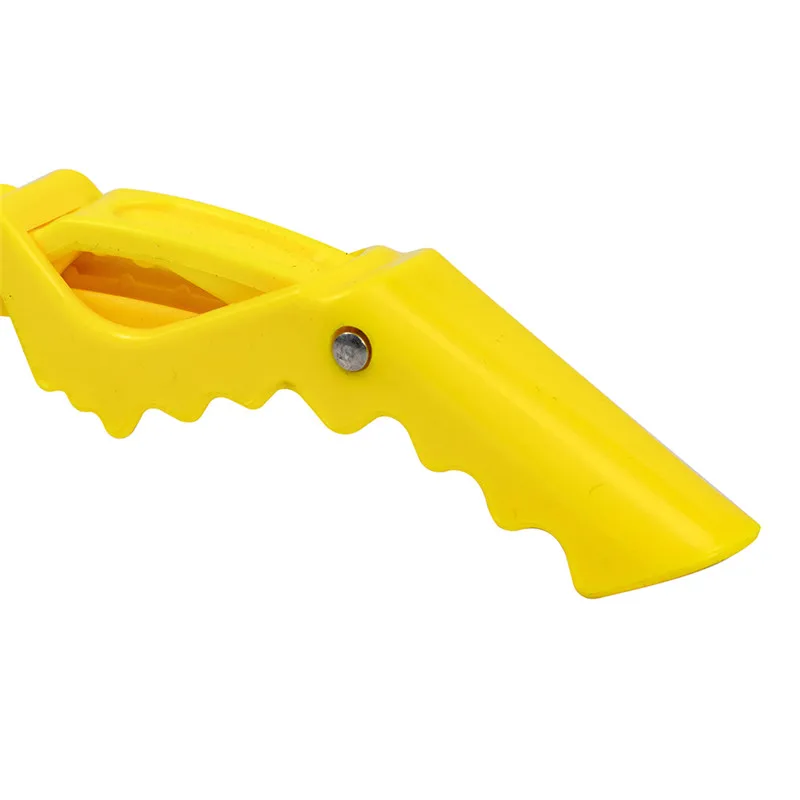 307019_no-logo_307019-3-06-p