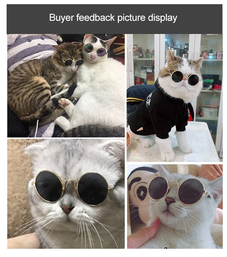 宠物眼镜_厂家直销宠物眼镜-猫咪太阳镜个性搞怪-猫批发---阿里巴巴_03