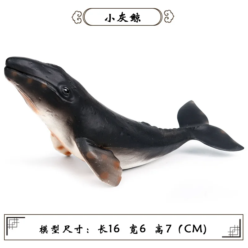 10556976630_1464955482