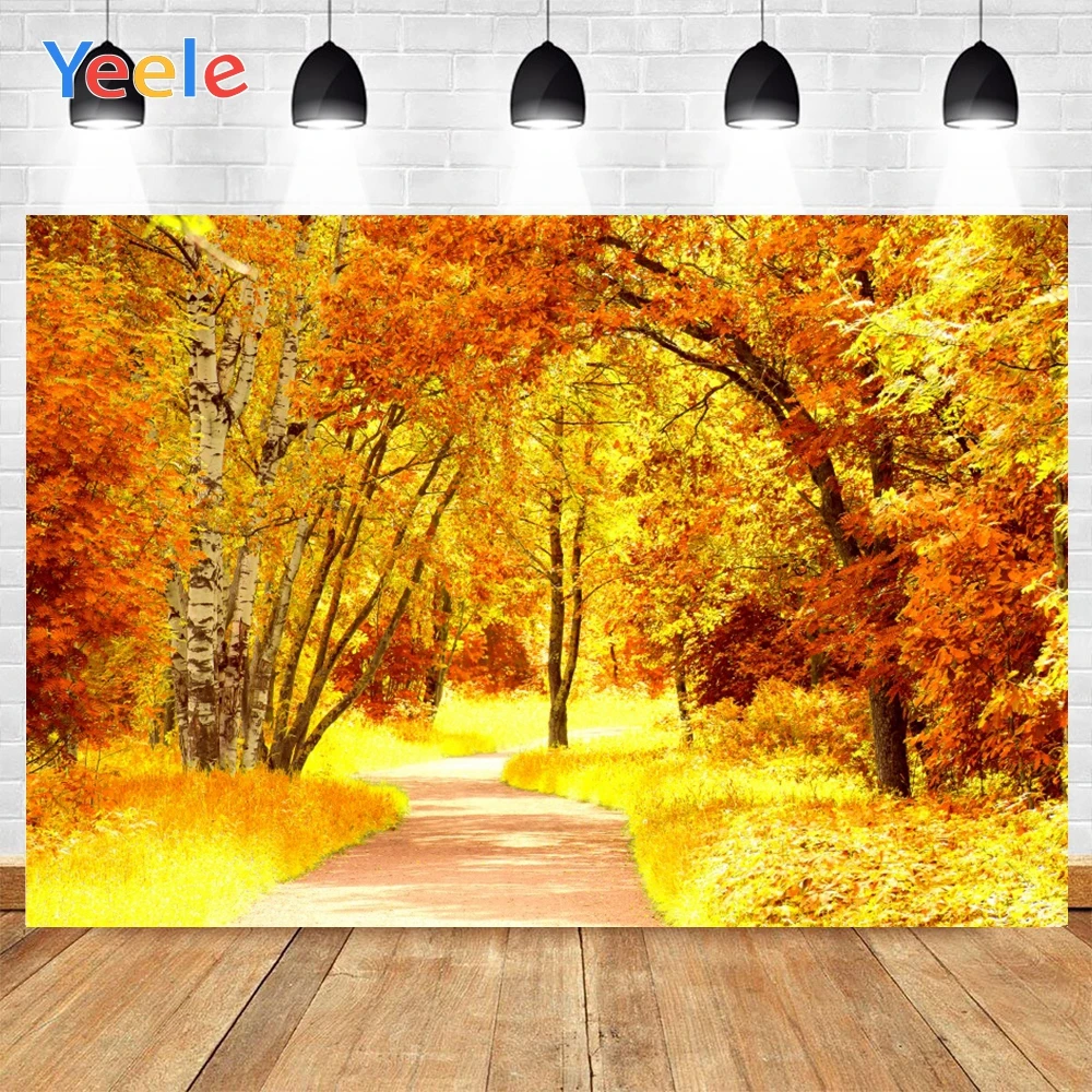

Yeele Red And Golden Maple Leaves Road Autumn Photo Background Photophone Photography Backdrop for Decoration Customized Size
